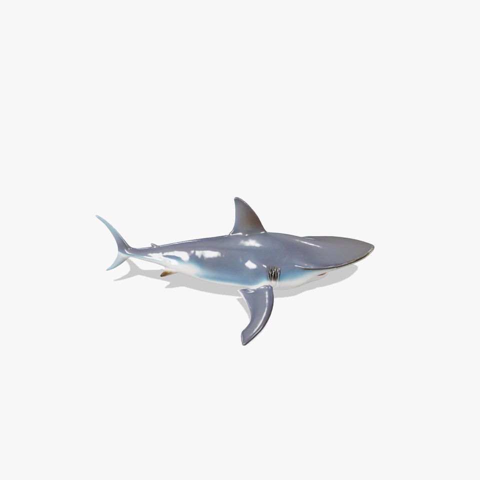 Hammerhead Shark Animated model pack